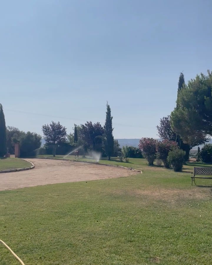 Arreglando el jardín con nuestros ayudantes favoritos 

#campoenmedio 
#yeguadaasdepicas